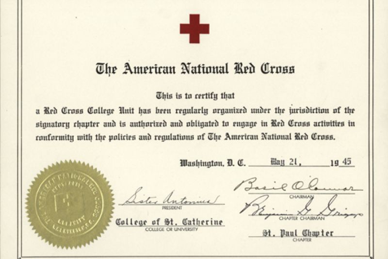 Archives American National Red Cross Certificate
