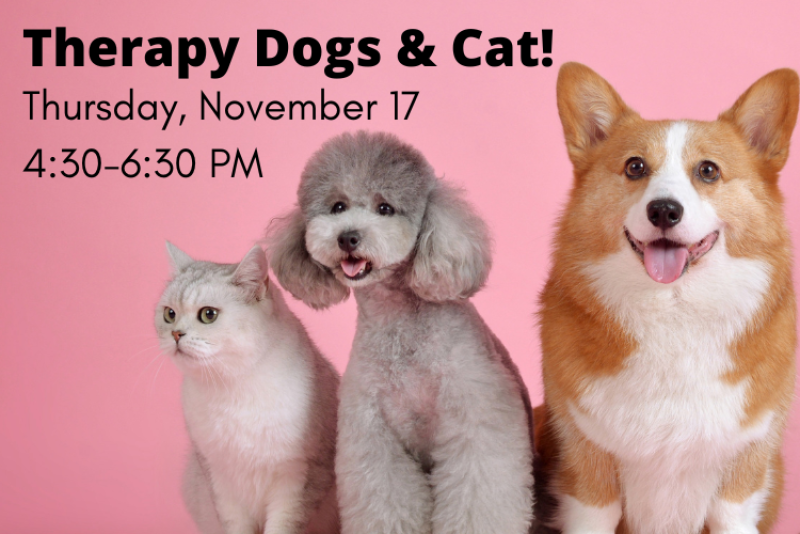Therapy Dogs & Cat