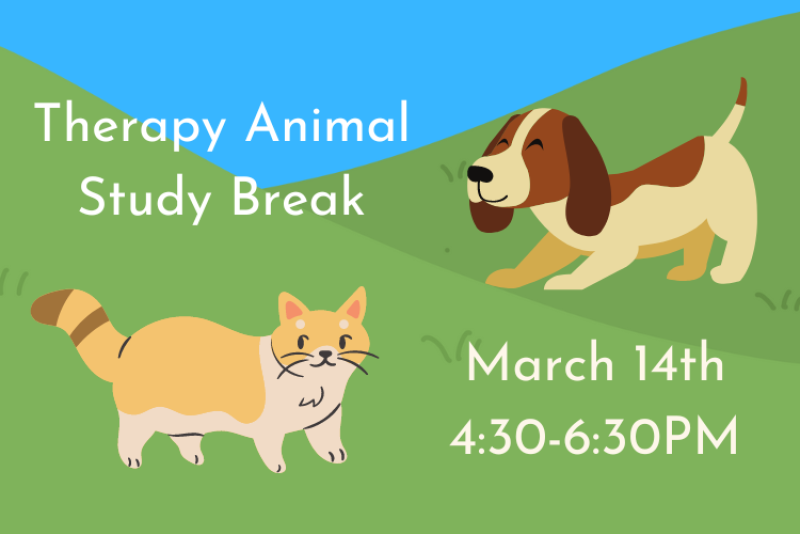 Therapy Animals Study Break