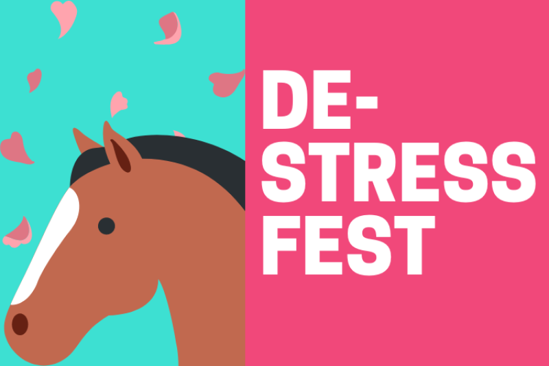 De-Stress Fest Spring 23